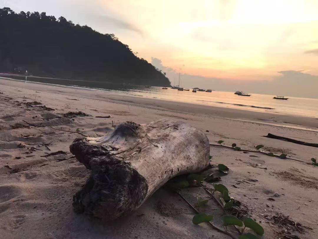 Juara Bay Resort เกาะเตียวมัน ภายนอก รูปภาพ